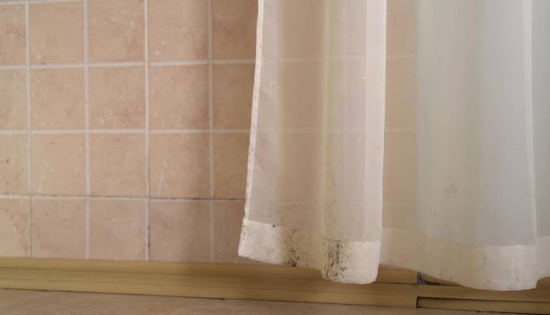 Best Mold Removal for HVAC Installations  in Northern Cambria, PA