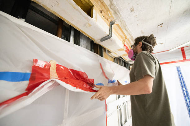 Northern Cambria, PA Mold Removal Company